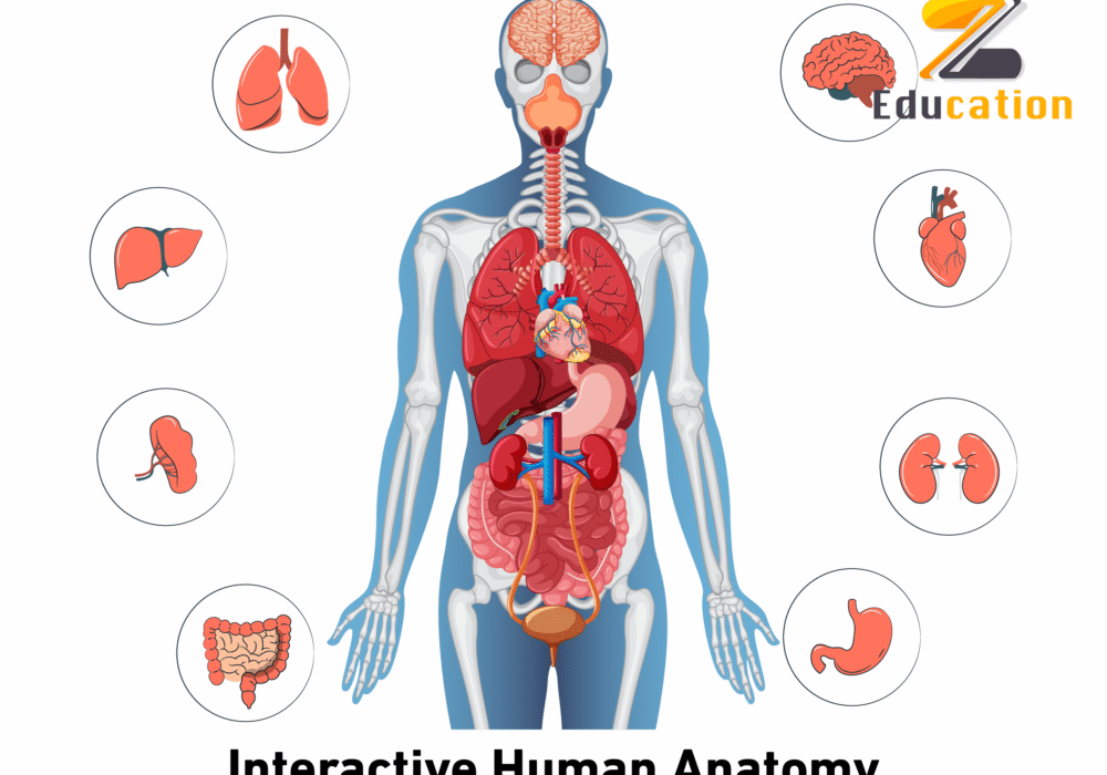 web images-04