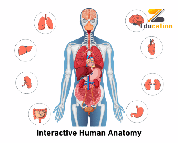 web images-04